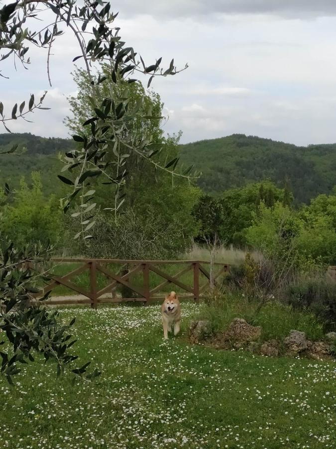 Agriturismo La Provenca Кьянчано-Терме Экстерьер фото