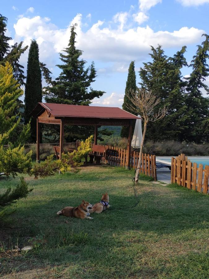 Agriturismo La Provenca Кьянчано-Терме Экстерьер фото