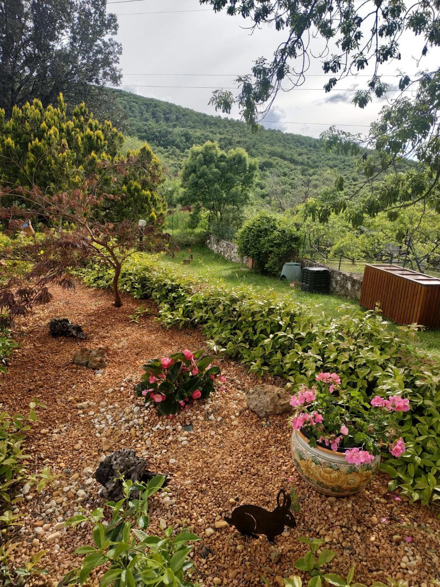 Agriturismo La Provenca Кьянчано-Терме Экстерьер фото