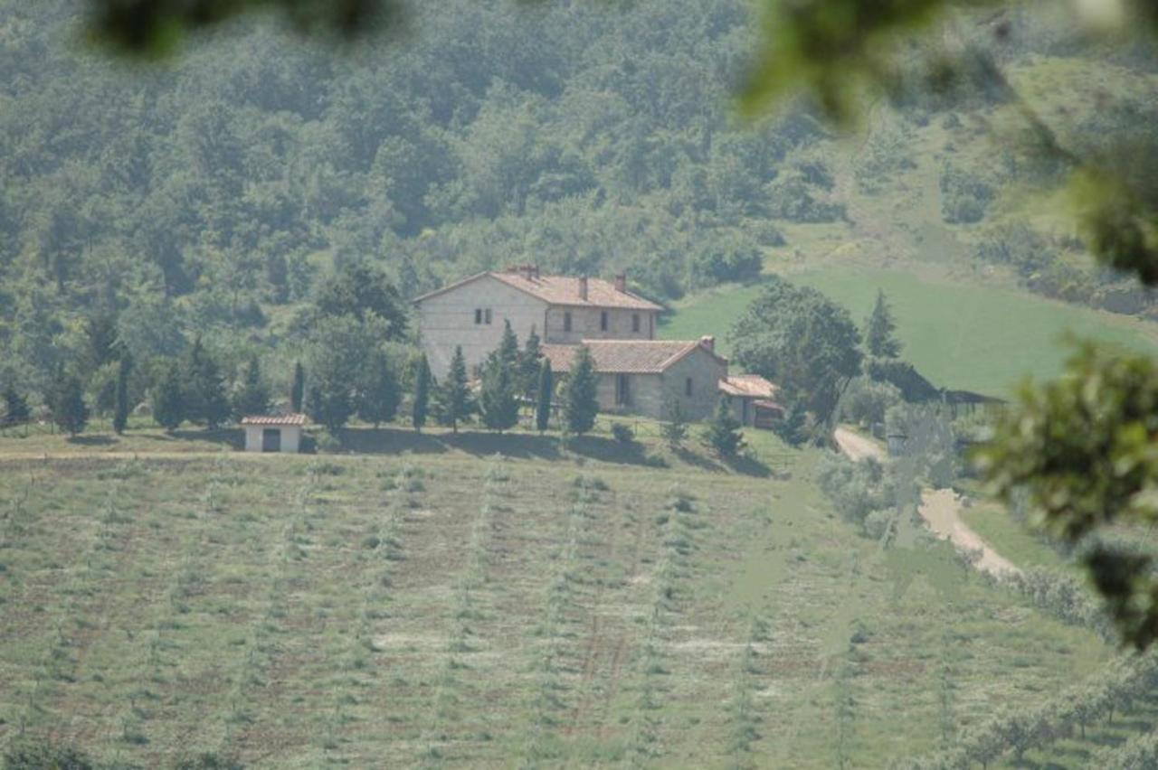 Agriturismo La Provenca Кьянчано-Терме Экстерьер фото
